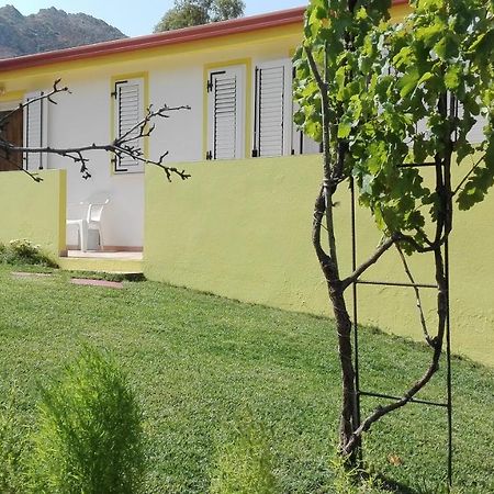Il Girasole Alloggio Villa Fluminimaggiore Exteriör bild